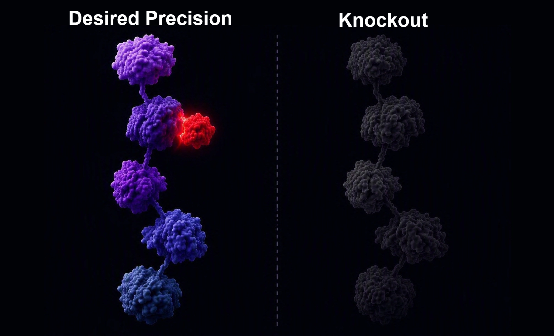 Diagram contrasting a targeted binder engaging one domain of a multi-domain protein on the left with a conventional knockout eliminating all five domains on the right